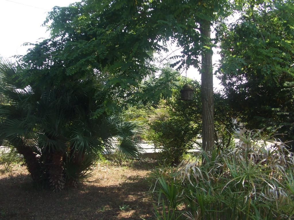 Casa Vacanza La Pajara Andrano Exterior photo